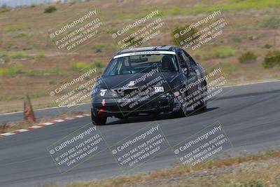 media/May-04-2024-Lucky Dog Racing (Sat) [[d39539b3f3]]/Race Pics/1015am (Turn 2)/